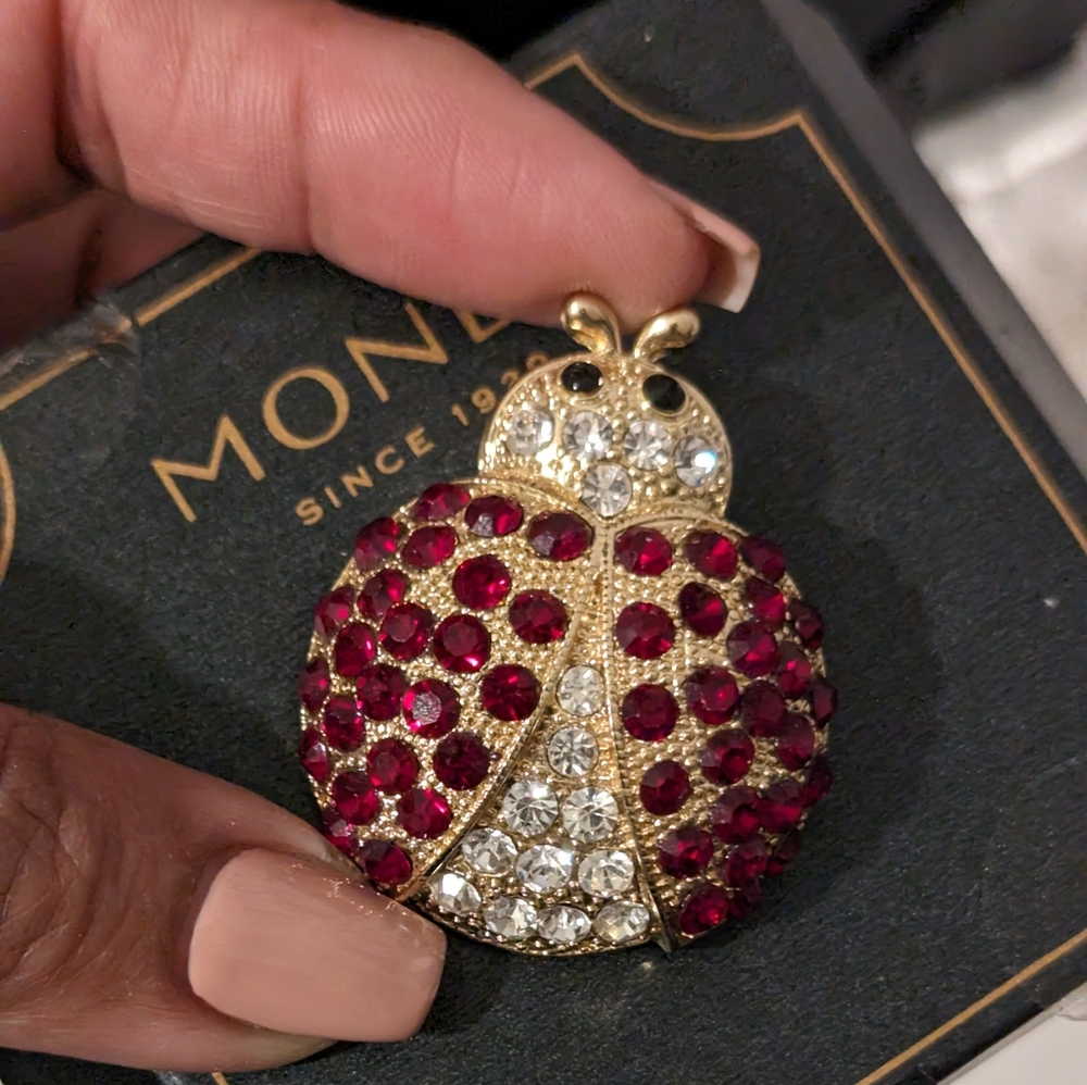 Monet Brooch - Picture 3 of 3